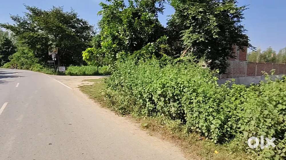 शोरूम के लिए सबसे सस्ता प्लाट कमर्शियल बिकाऊ है हाईवे से लगा