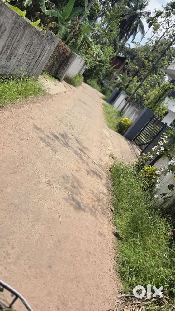 3 cent 4 cent 5cent plot അരൂർ പള്ളിക്ക് തെക്കുവശം Nh 200 mtr