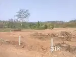 Agriculture Land Sale in Mangaon Raigad