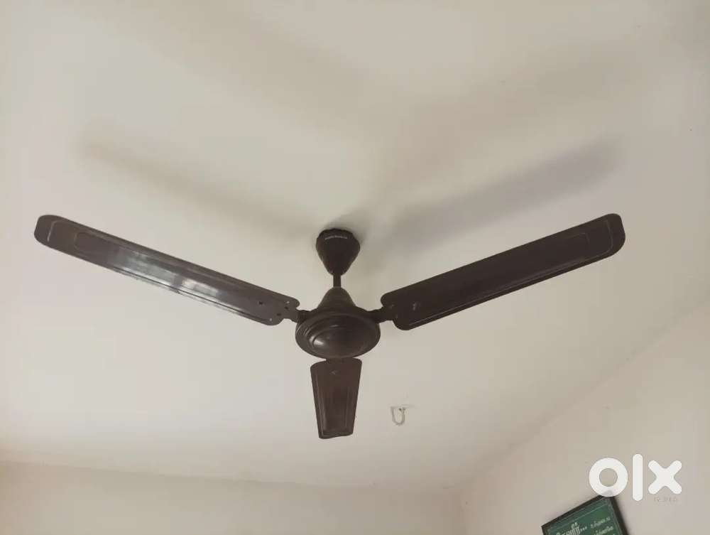 Ceiling FanS For Sales
