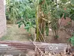 Danapur Cantt me sabse sasta plot