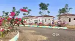 303 SQ YARDS (2.5 GUNTA) FARM PLOT FOR SALE AT NARAYANKHED, SANGAREDDY