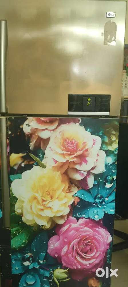 Lg big double door fridge
