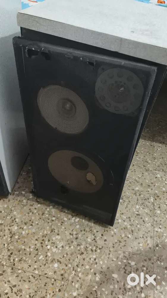 Old Speaker (2)
