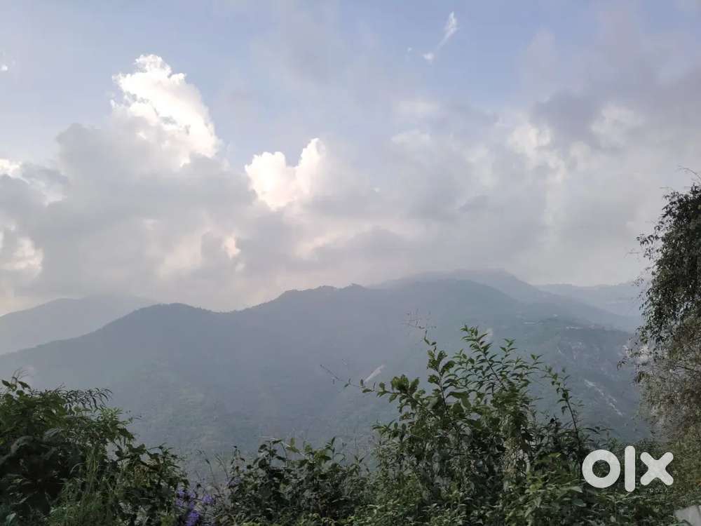 Mahoba main rod goklum dhaba ke aage petrol pump ke pass