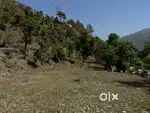 12 nali land for sale / for commercial & personal use