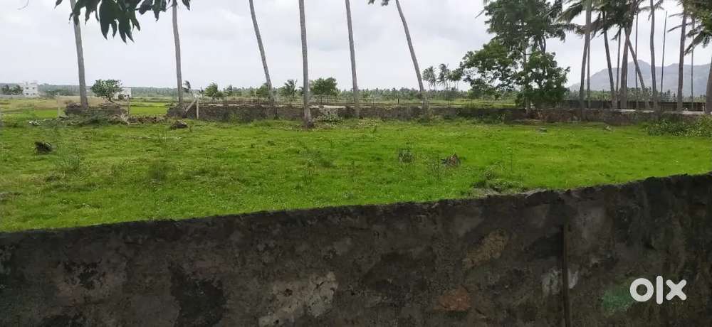 Plot for sale near Boothapandi
