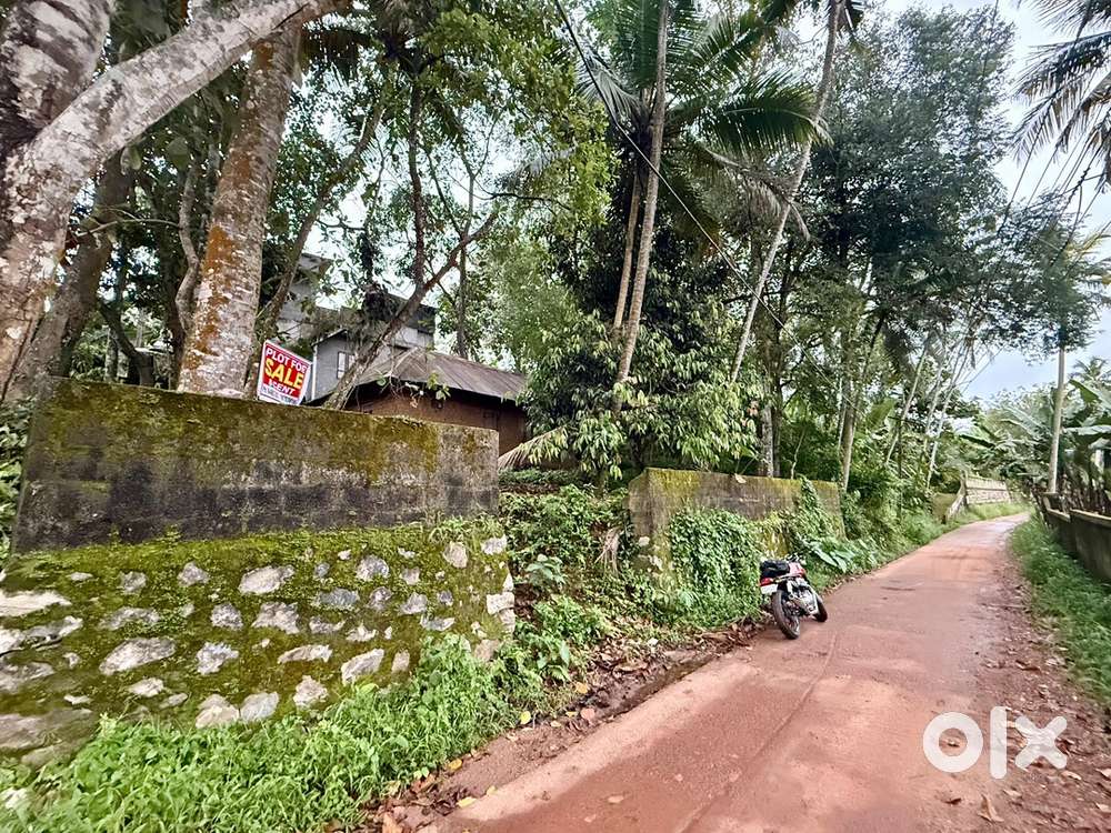 Urgent Sale ! 8 cent plot @Kachani