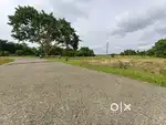 51 dcml plot at Road side in cheap rate gharbadi plot 1.5 lakh/dcml