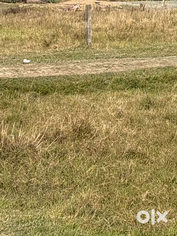 Katihar Purnia fore line ke pass 10 kattha jameen bikri hai