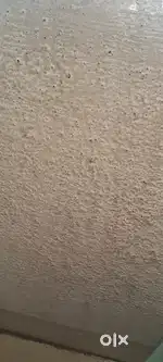 1100000 paryant ghar pahije hot please contact me