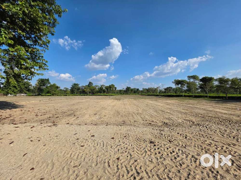 Escape Crowded City Living-Enjoy Quiet Life in a Growing Location