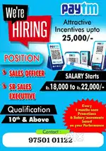 Field sales executive
