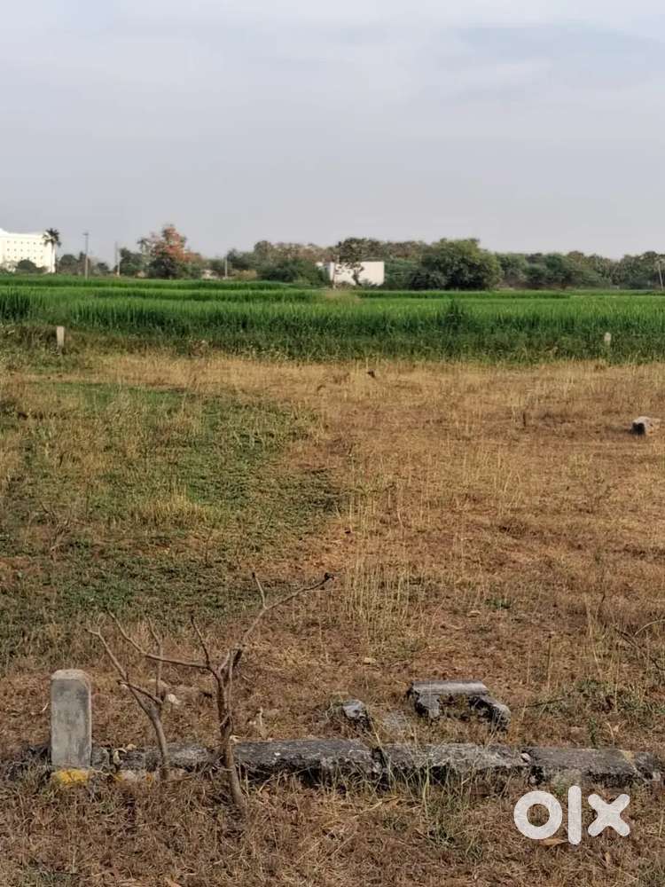 North-Facing Plot for Sale in Algunoor, Karimnagar.