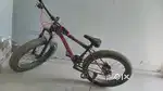 Fate  cycling