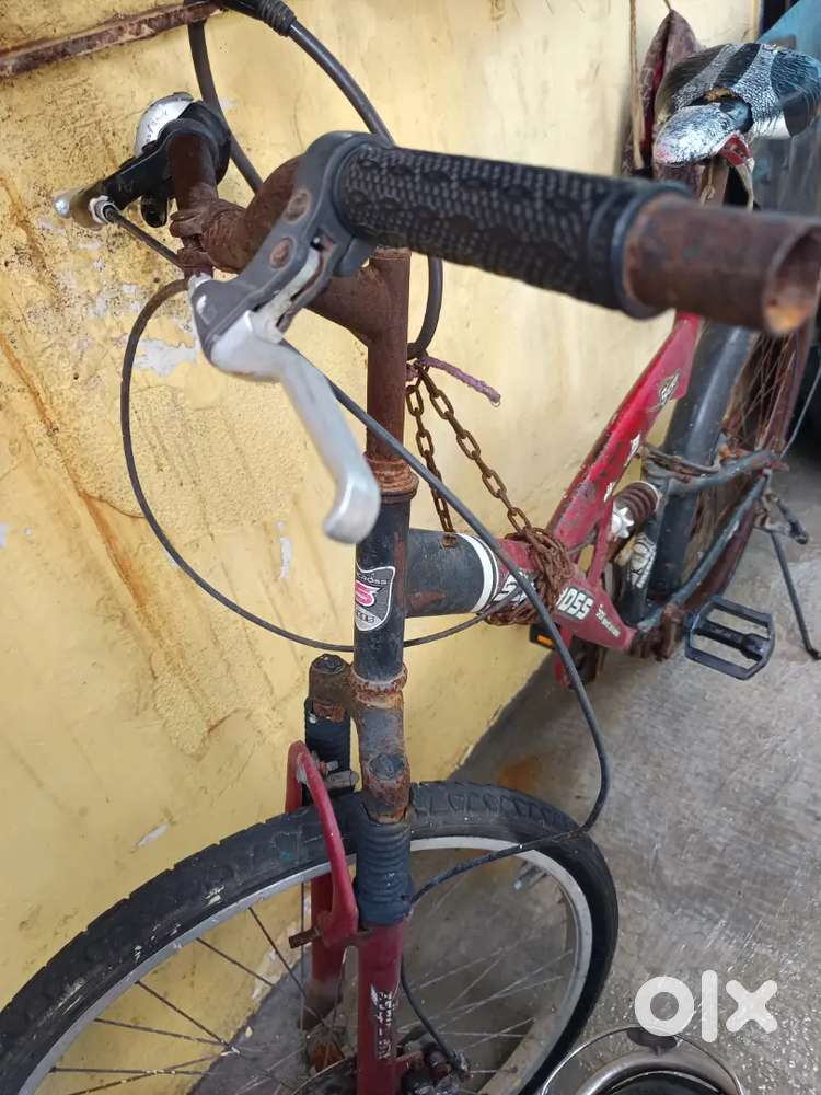 Cycle company (Cross)