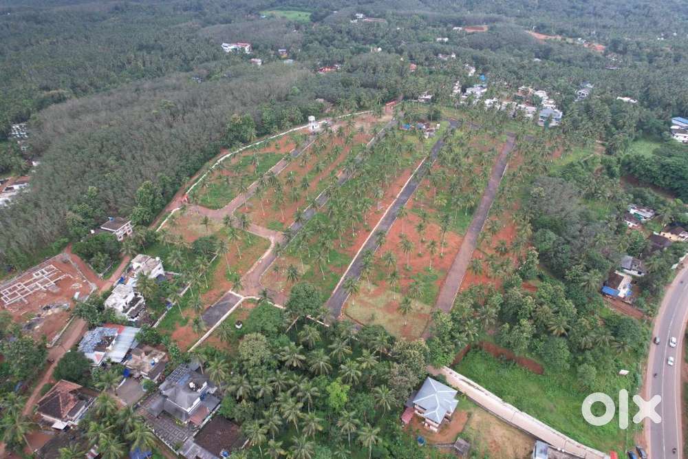 8 Cent House plot for sale in Viyyakurissi,Palakkad