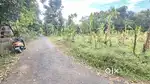 Mookanoor House plot for sale 5 Cent മുതൽ പ്ലോട്ട് ലഭ്യമാണ്