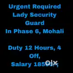 Lady Security Guard job Phase 6,Mohali
