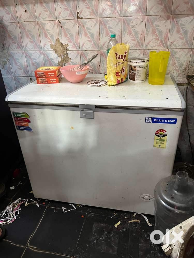 230L bluestar freezer