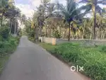 On Road Property Rajakamangalam near