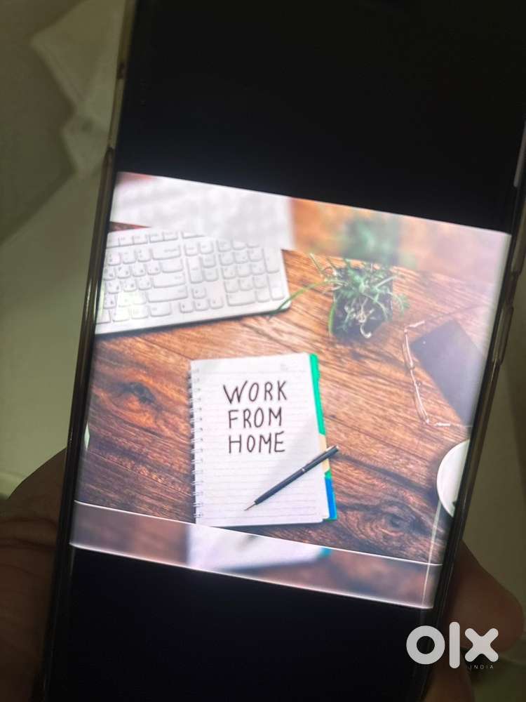 Freshers un freshers no degree no qualification