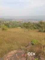 50 acre open land for sale
