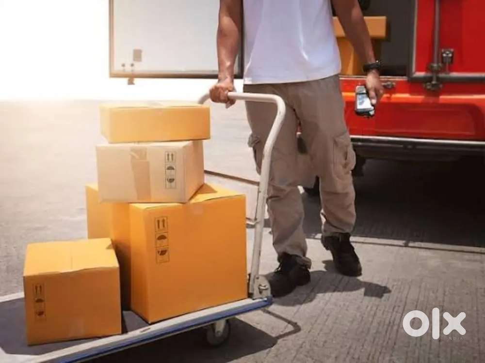 Booy & girl Logistic Warehouse
We Are Hiring for Manpower..