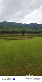 लेने वाले ही संपर्क करें  मैनपाट में जमीन मिल जाएगा