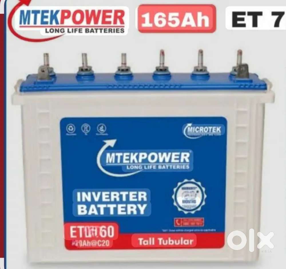 Inverter battery
