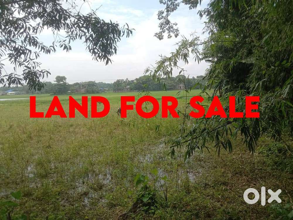 1 Bigha Residential Land for Sale in Doloichuba Near JNV