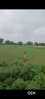 4.5 bigha land on national highway Jhansi - Kanpur road