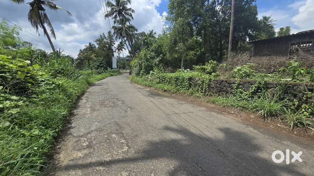 Angamaly mookkannoor 24 cent old house for sale immediately