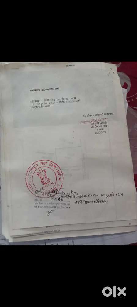 गोरा पट्टी इकरा स्कूल के पीछे चौक फैज़ाबाद से डेड किलो मीटर लगभग