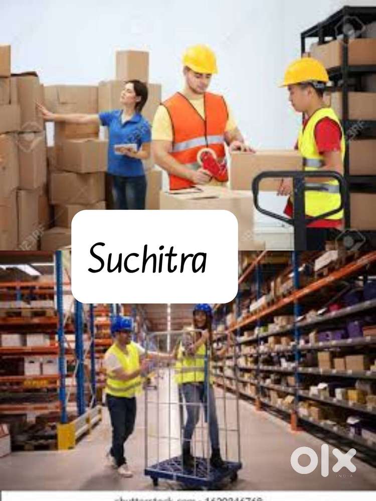 Looking picking packing boy's and girl's