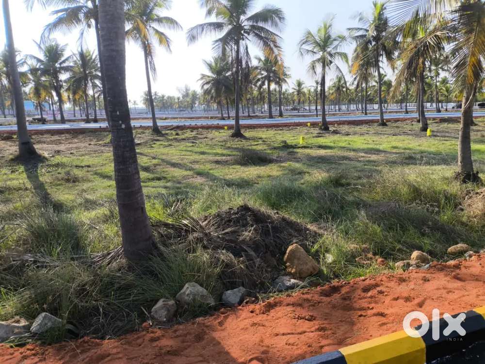 On road farmhouse property in mahaballipuram