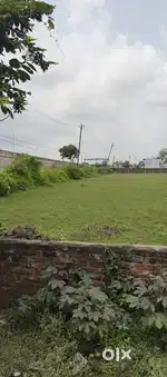 Rewa city me koi location me plots available hai mill jyga acche Rs.Me