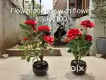 Flower Pots