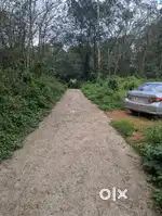 Land suitable for plots