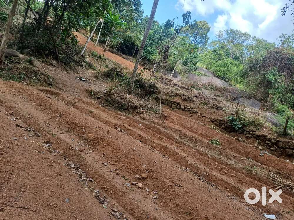 1 acer 10 cent agricultural land