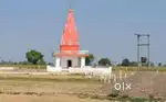 Noida international airport near affordable plots only 22lac
