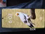 Vivo v29 phone hai
