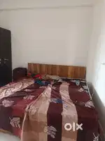 Looking for room partner