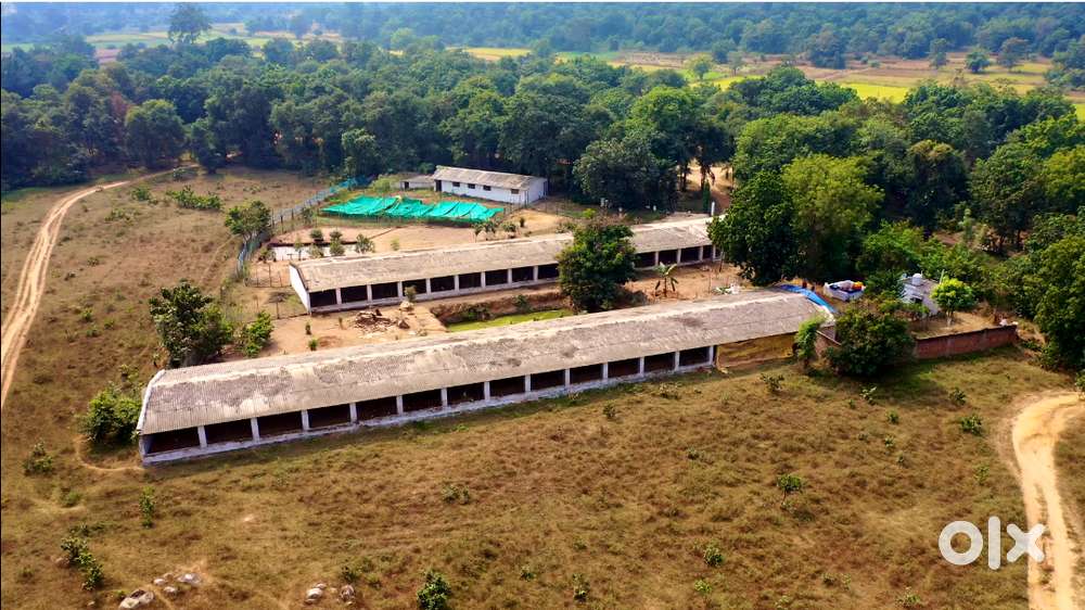 POULTRY FARM