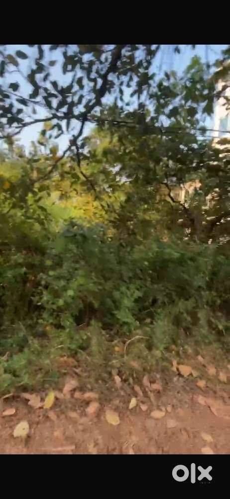 Socorro Porvorim 280sqmtr plot available for sale sanad 55k/sqmtr ask