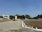 40 Feet Tar Road based - DTCP PLOTS SALE