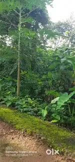 20 സെൻ്റ് സ്ഥലവും680 sq ടറസ് വീടും