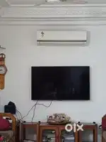55 inch TV.