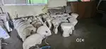 Toilet and bathroom products