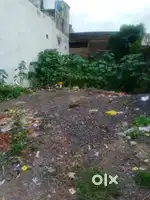 1000 sq feet